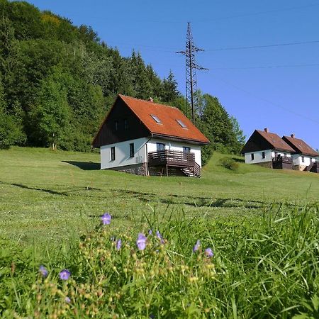 Green Valley Park Vila Stárkov Exterior foto