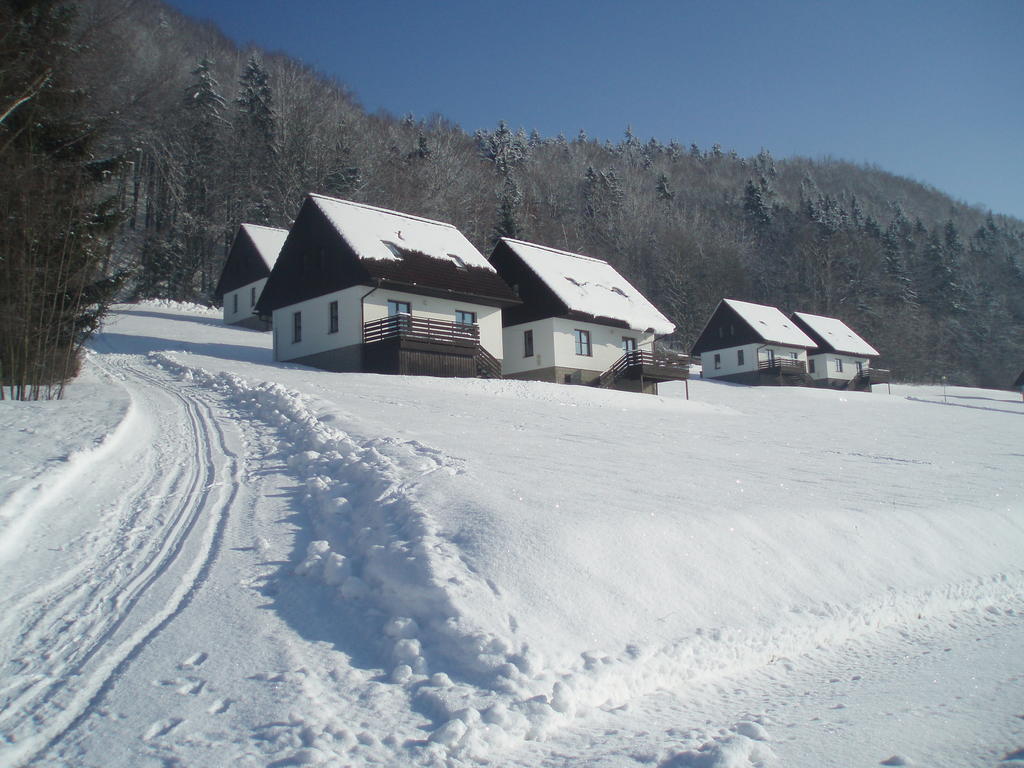 Green Valley Park Vila Stárkov Exterior foto