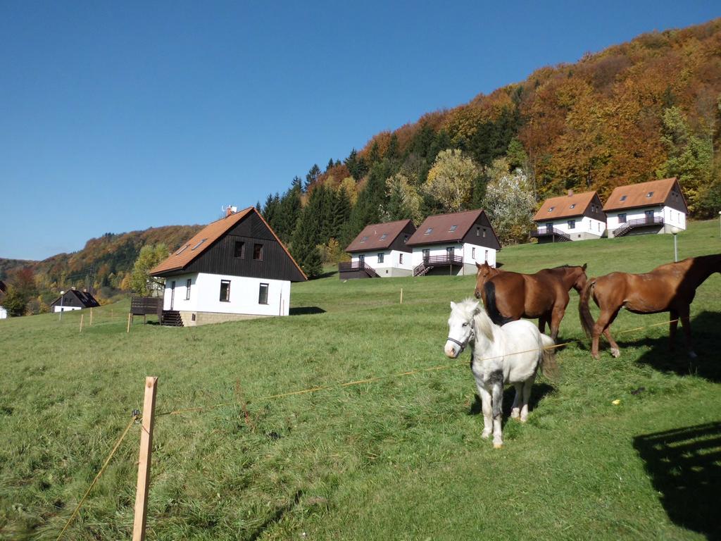 Green Valley Park Vila Stárkov Exterior foto