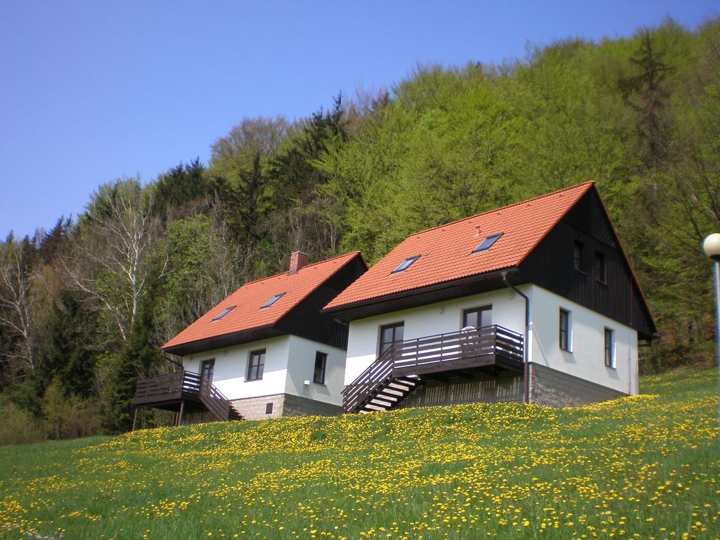 Green Valley Park Vila Stárkov Exterior foto