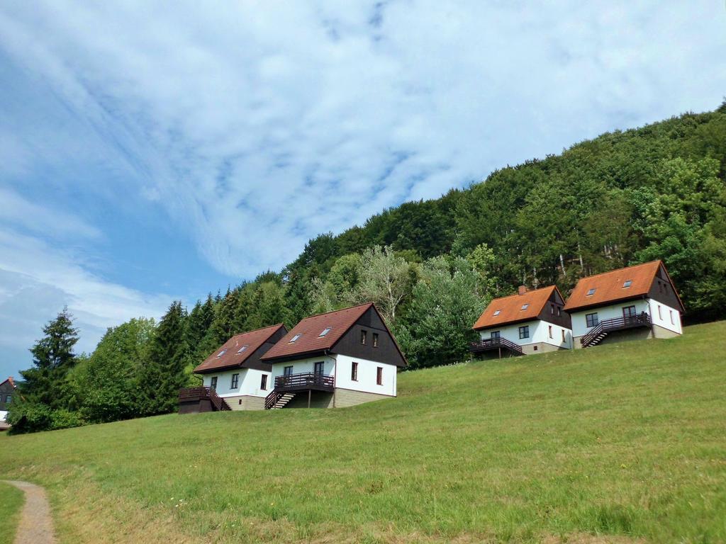 Green Valley Park Vila Stárkov Exterior foto