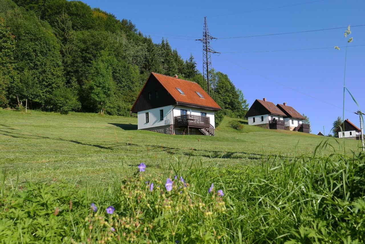 Green Valley Park Vila Stárkov Exterior foto